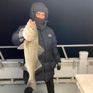 Meet your Posher, Sameh